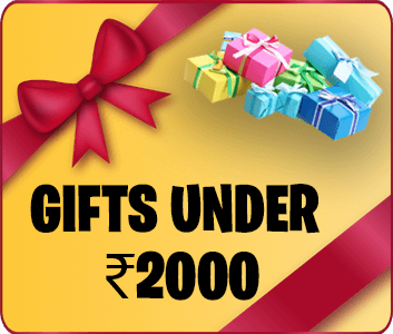 Gifts Under 2000