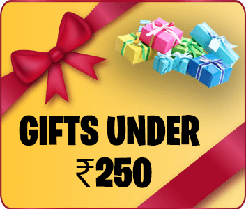 Gifts Under 250