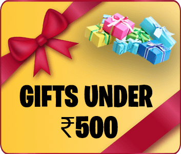 Gifts Under 500