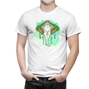 Krishna Special T-Shirt